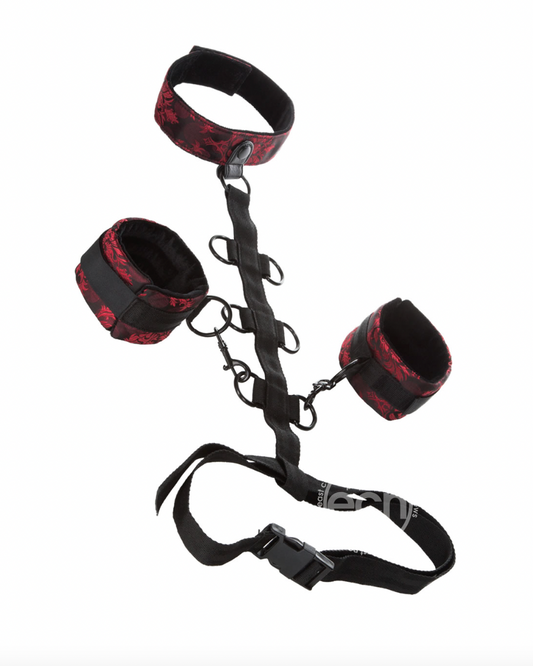 Scandal Collar Body Restraint