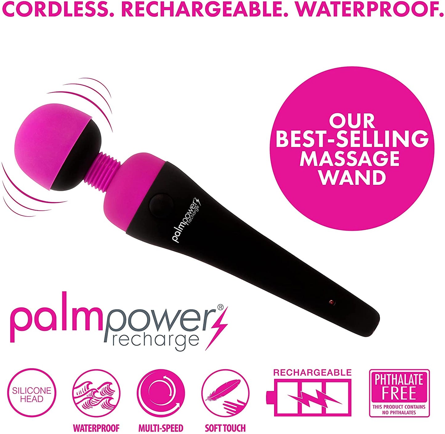 PalmPower Recharge Personal Wand Massager