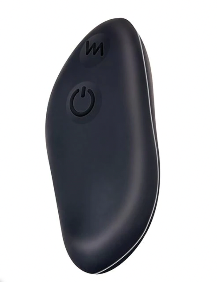 Hidden Pleasure Panty Vibrator