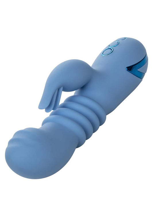 California Dreaming Santa Cruz Coaster Vibrator