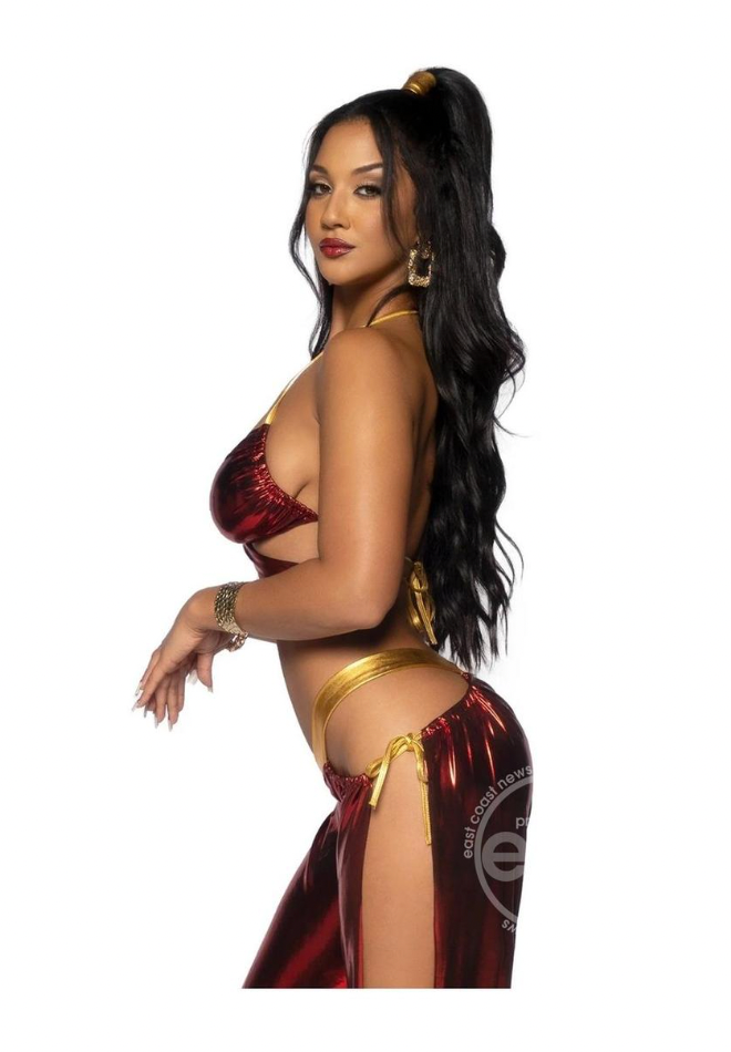 Leg Avenue Ruby Desert Princess Costume
