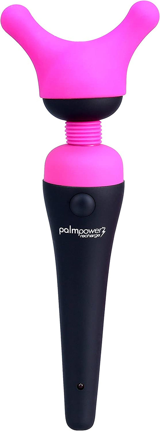 PalmPower Palm Body Accessory Heads