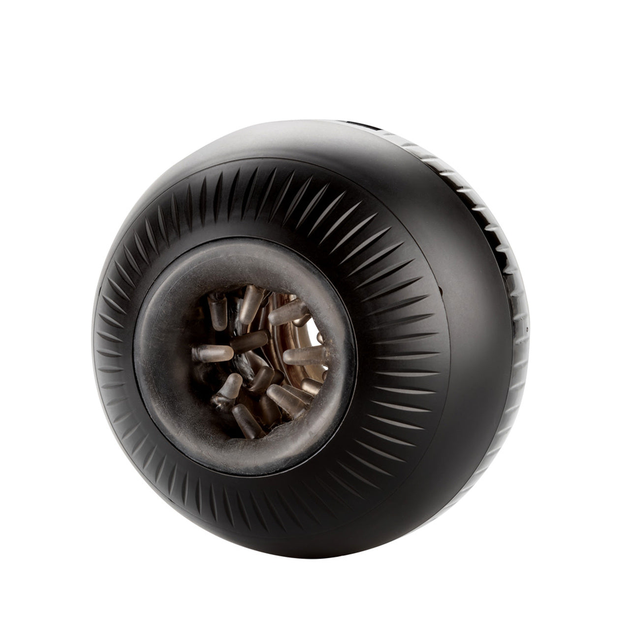 Calexotics Masturball